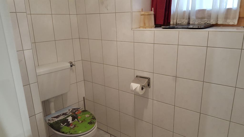 Alpen-Fewo, La Gassa 3 Apartment Flims Luaran gambar